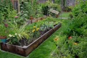 Flower Gardening Ideas for Beginners 2026: Easy Tips to Grow Beautiful Flower Garden at Home
