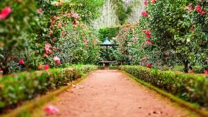 Container Gardening for Small Spaces 2026: Best Ideas and Techniques for Growing Plants in Pots