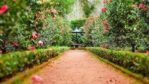 Garden Landscaping Ideas for Homeowners 2026: Complete Guide to Transform Your Outdoor Space